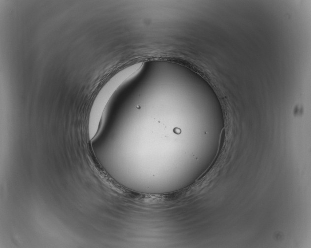 X0000115020720200911091442