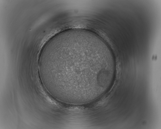X0000115020721200911091442