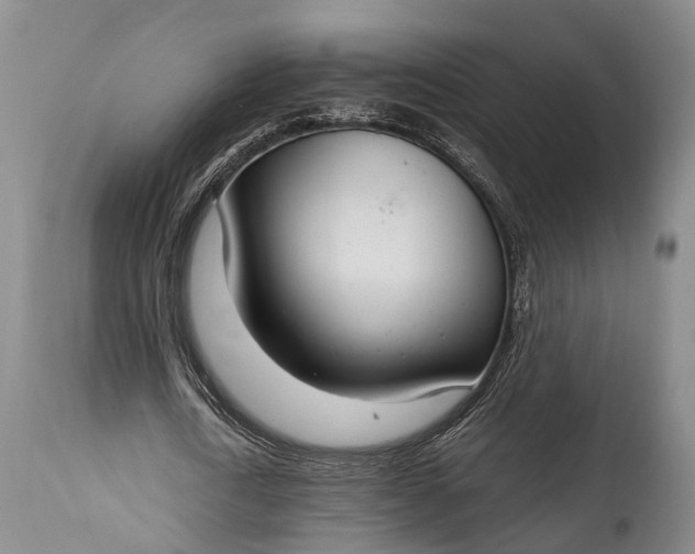 X0000115020722200911091442
