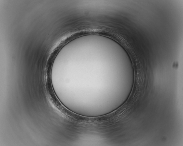 X0000115020726200911091442