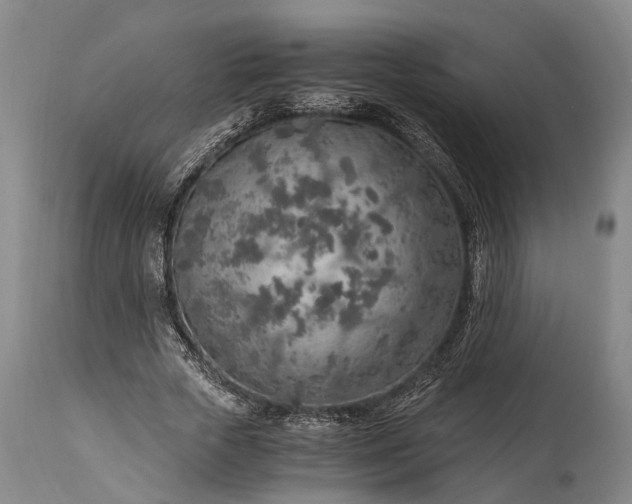 X0000115020729200911091442