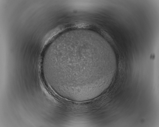 X0000115020730200911091442