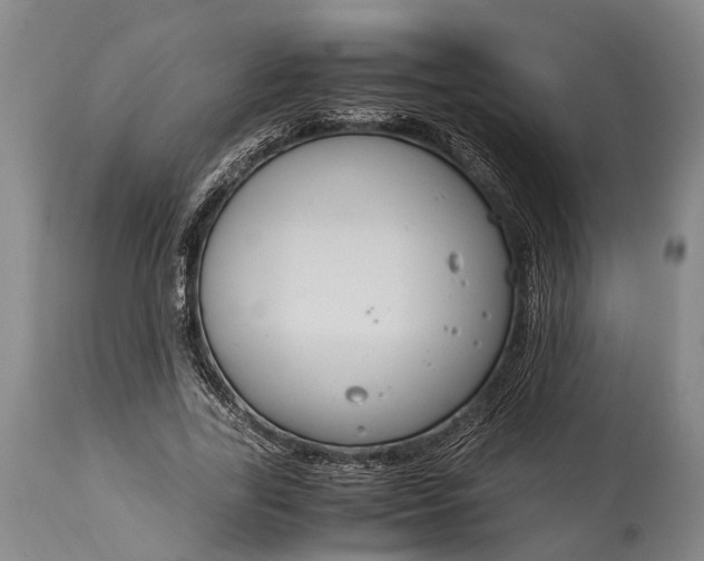 X0000115020731200911091442