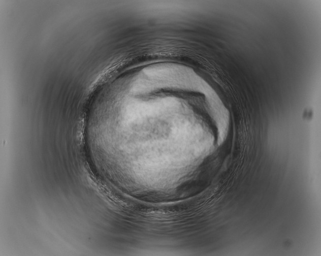 X0000115020735200911091442