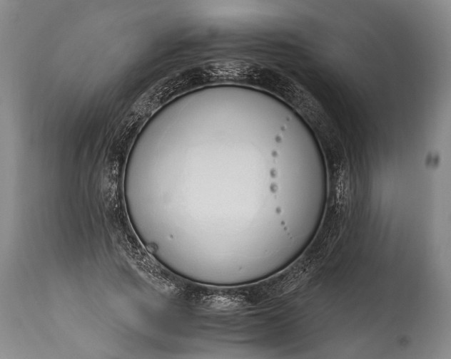 X0000115020737200911091442