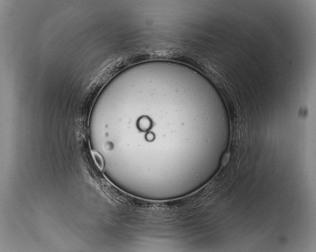 X0000115020738200911091442