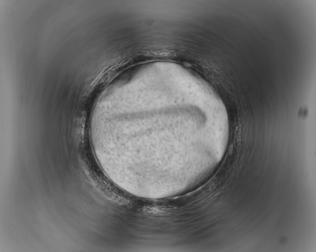 X0000115020739200911091442