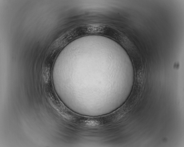 X0000115020741200911091442