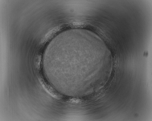 X0000115020742200911091442