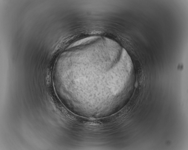 X0000115020743200911091442