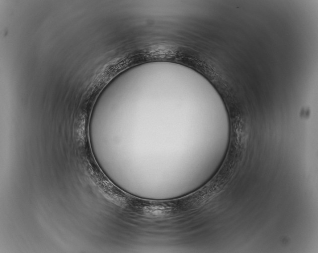 X0000115020745200911091442
