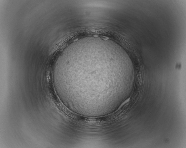 X0000115020746200911091442