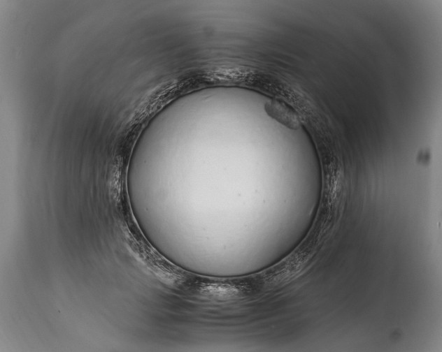 X0000115020749200911091442