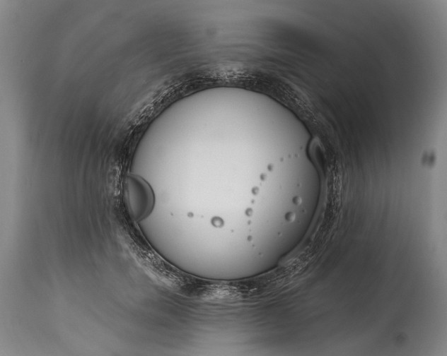 X0000115020750200911091442