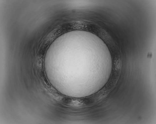 X0000115020753200911091442