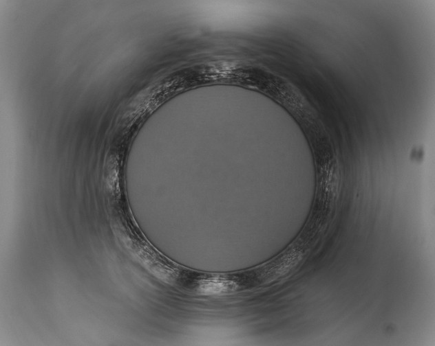X0000115020754200911091442
