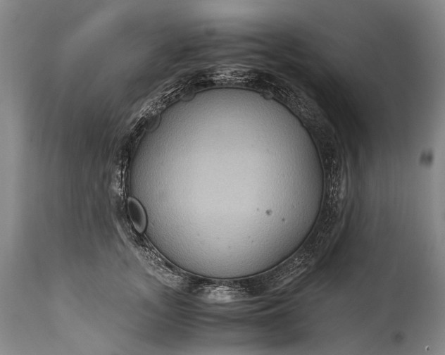 X0000115020755200911091442