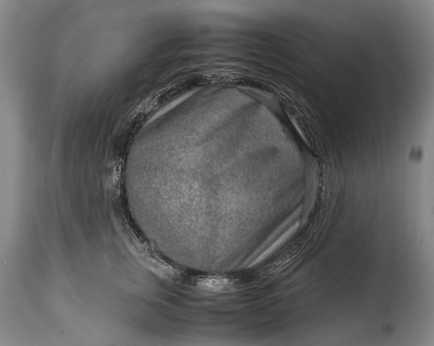 X0000115020759200911091442