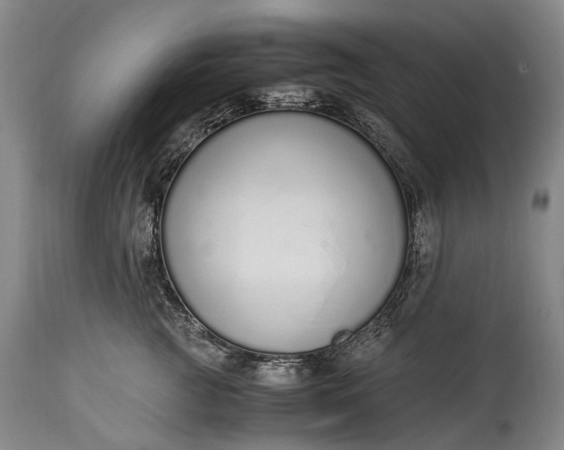 X0000115020761200911091442