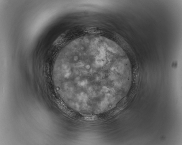 X0000115020762200911091442