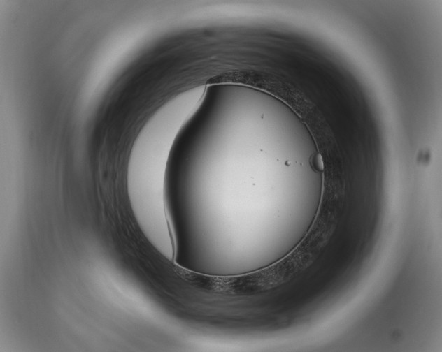 X0000115020766200911091442