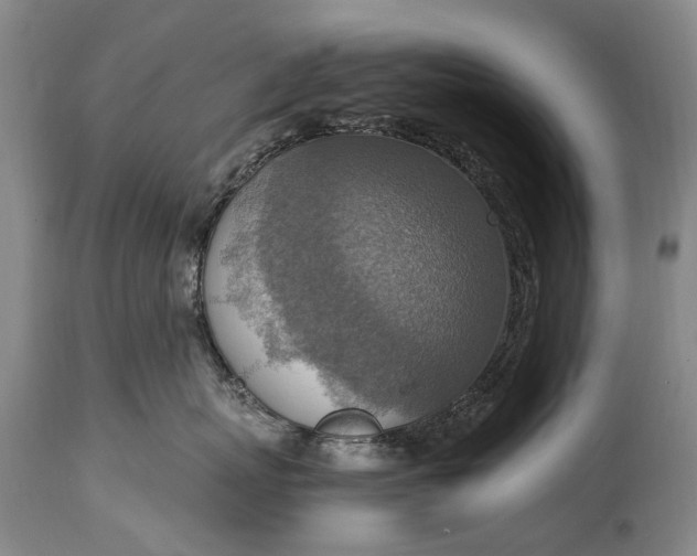 X0000115020767200911091442