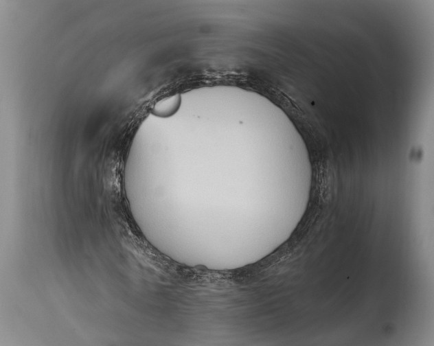 X0000115020770200911091442