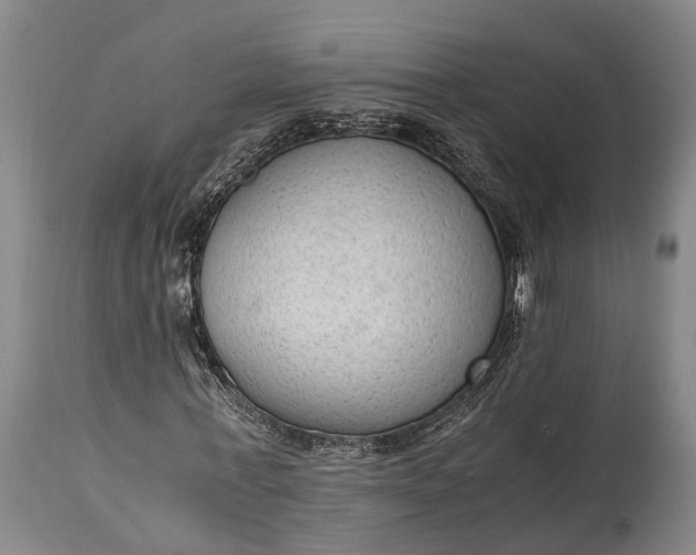 X0000115020771200911091442