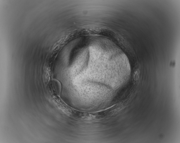 X0000115020772200911091442