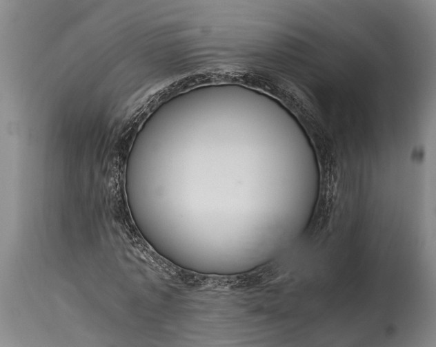 X0000115020773200911091442
