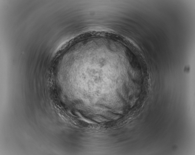 X0000115020775200911091442