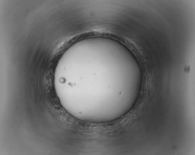 X0000115020776200911091442