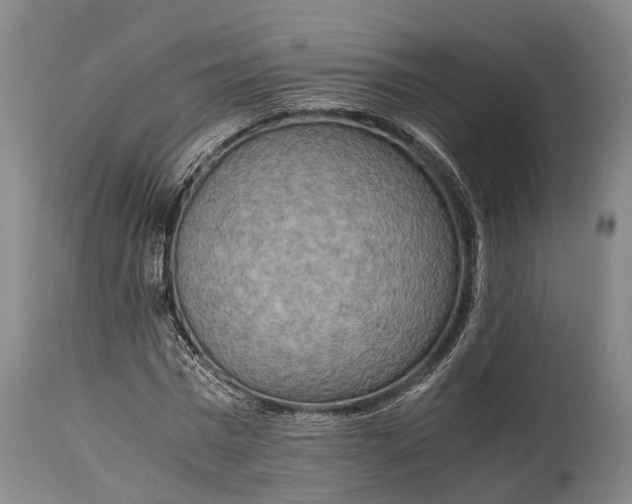 X0000115020777200911091442