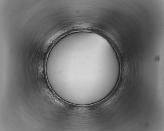 X0000115020778200911091442
