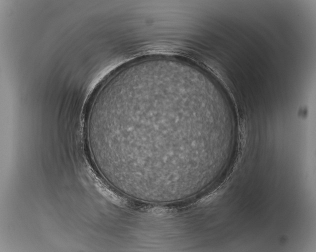 X0000115020779200911091442