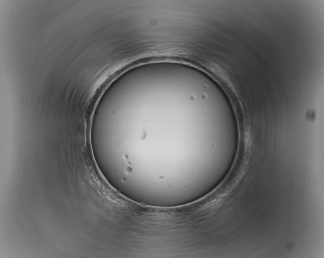 X0000115020781200911091442