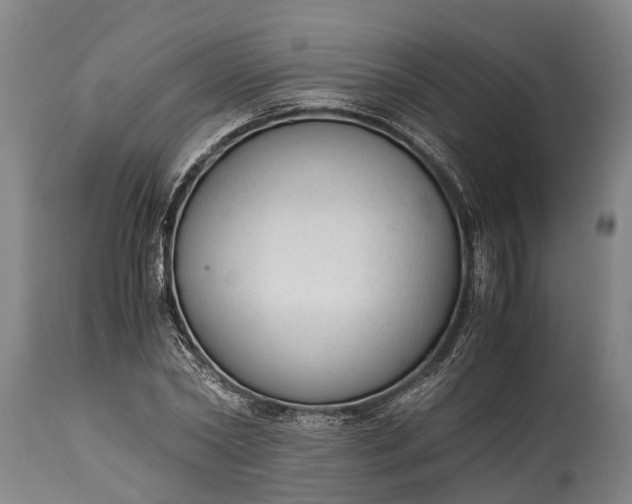 X0000115020782200911091441