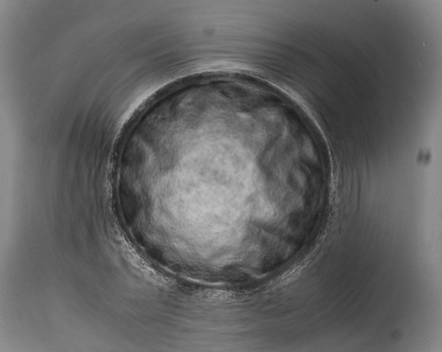 X0000115020783200911091441