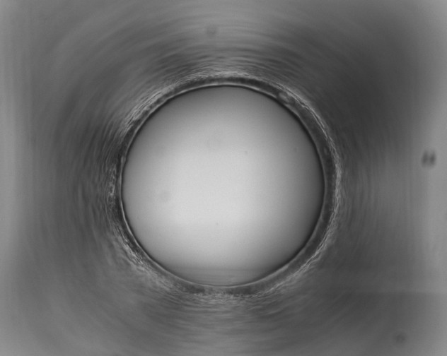 X0000115020785200911091441