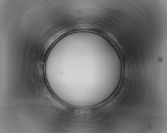 X0000115020786200911091441