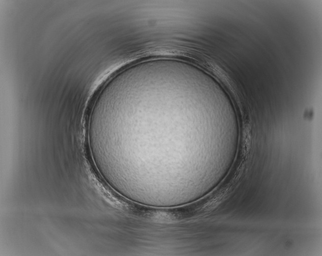 X0000115020787200911091441