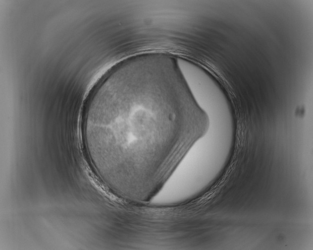 X0000115020788200911091441