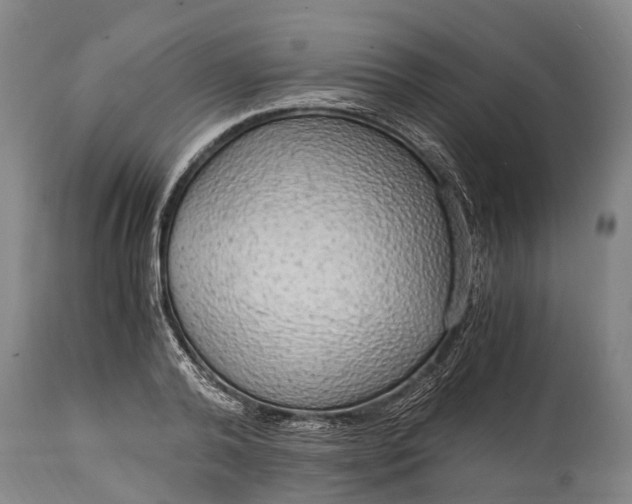 X0000115020792200911091441