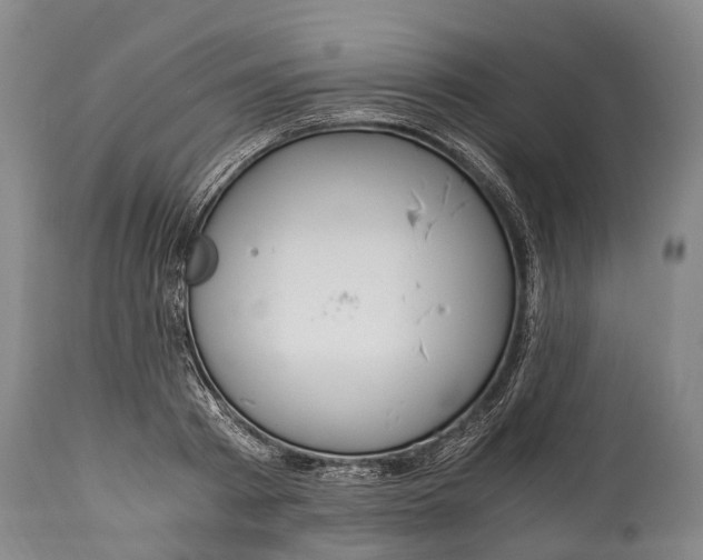 X0000115020793200911091441