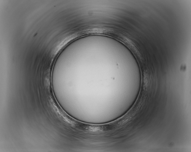 X0000115020794200911091441