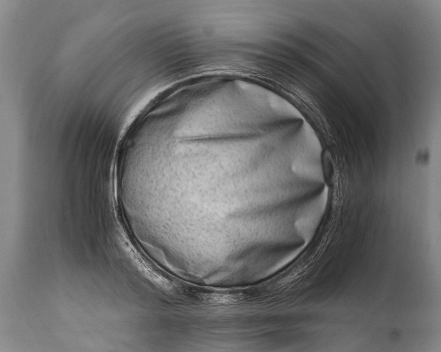 X0000115020796200911091441
