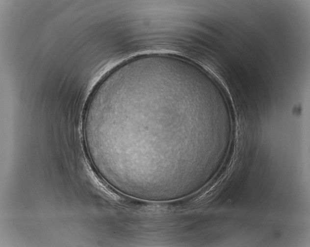 X0000115020797200911091441
