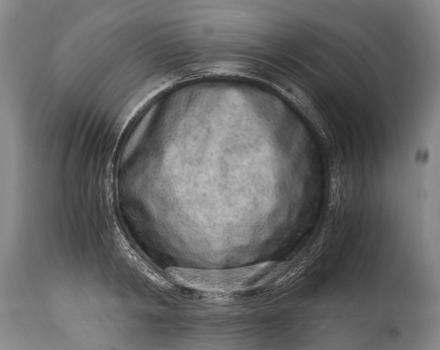X0000115020798200911091441