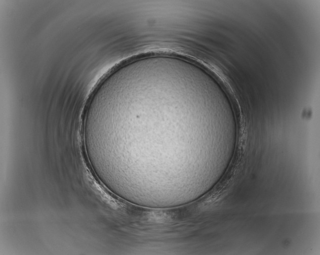 X0000115020799200911091441