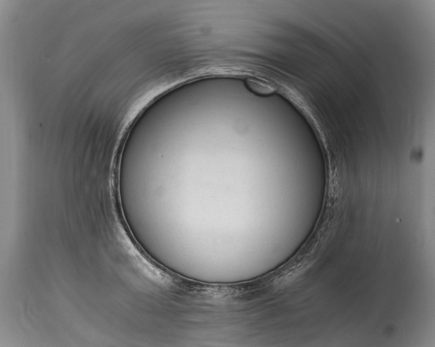 X0000115020803200911091441